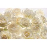 Фотообои Komar Белые розы XXL4-007