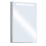Зеркало-шкаф Акватон Сильва 50 дуб фьорд со светильником 1A215502SIW6L